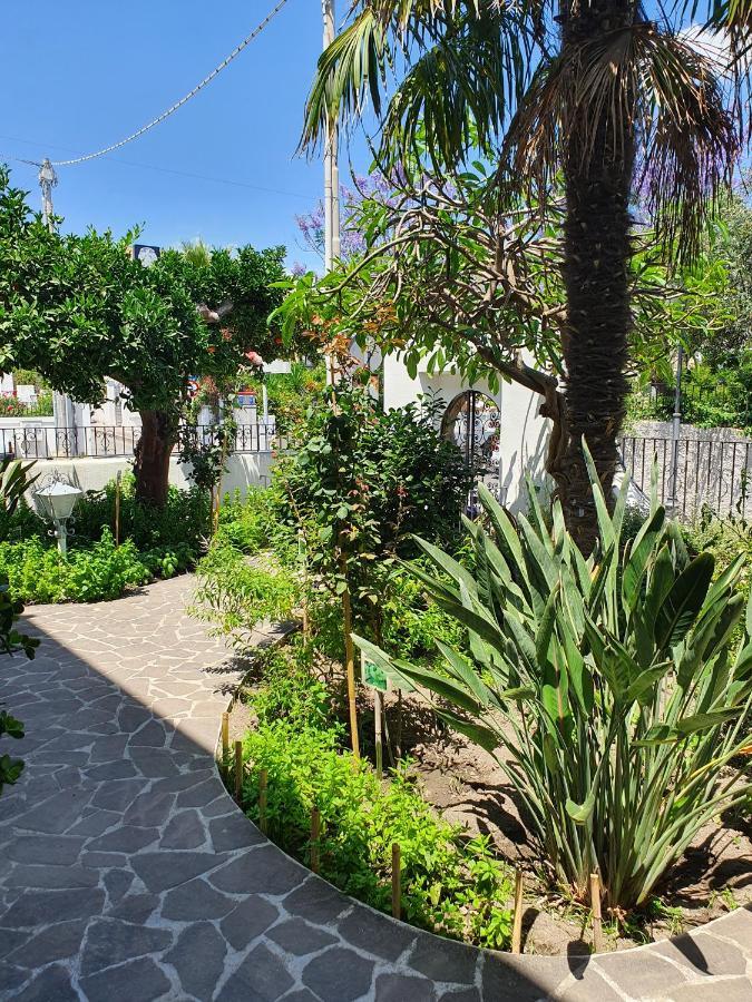 Holiday home Casa Dafne